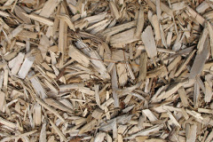biomass boilers Penyffridd